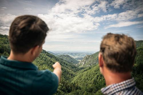 Blick in den Steyrtaler Schluchtwald