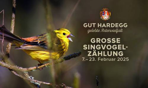 Vogelzählung Gut Hardegg 2025